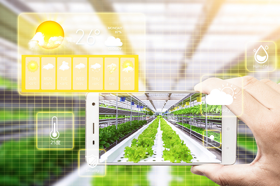 現代農業氣體探測器解決方案