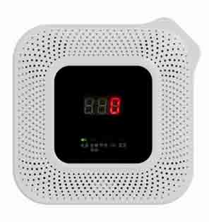 GTM-HD8200智能語音型雙氣體報(bào)警器