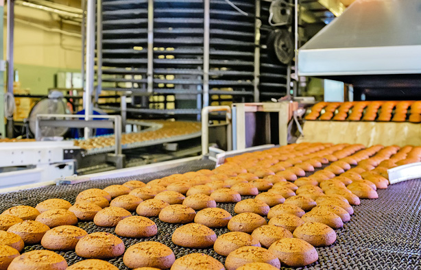 某大型食品加工廠可燃氣體安全監測系統升級案例