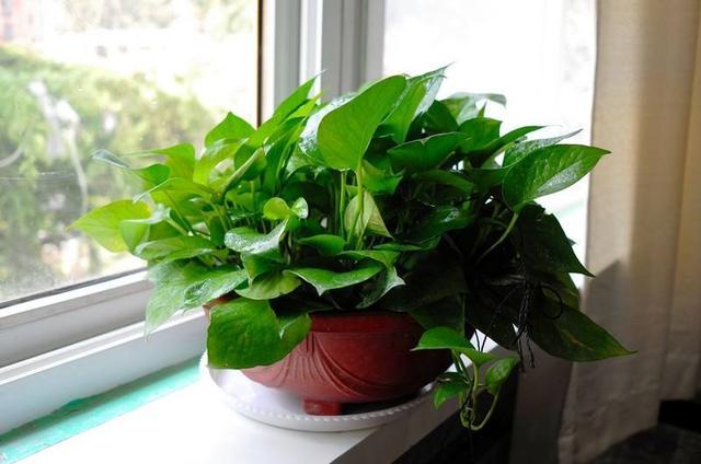 為什么要對氣體報警器標定？